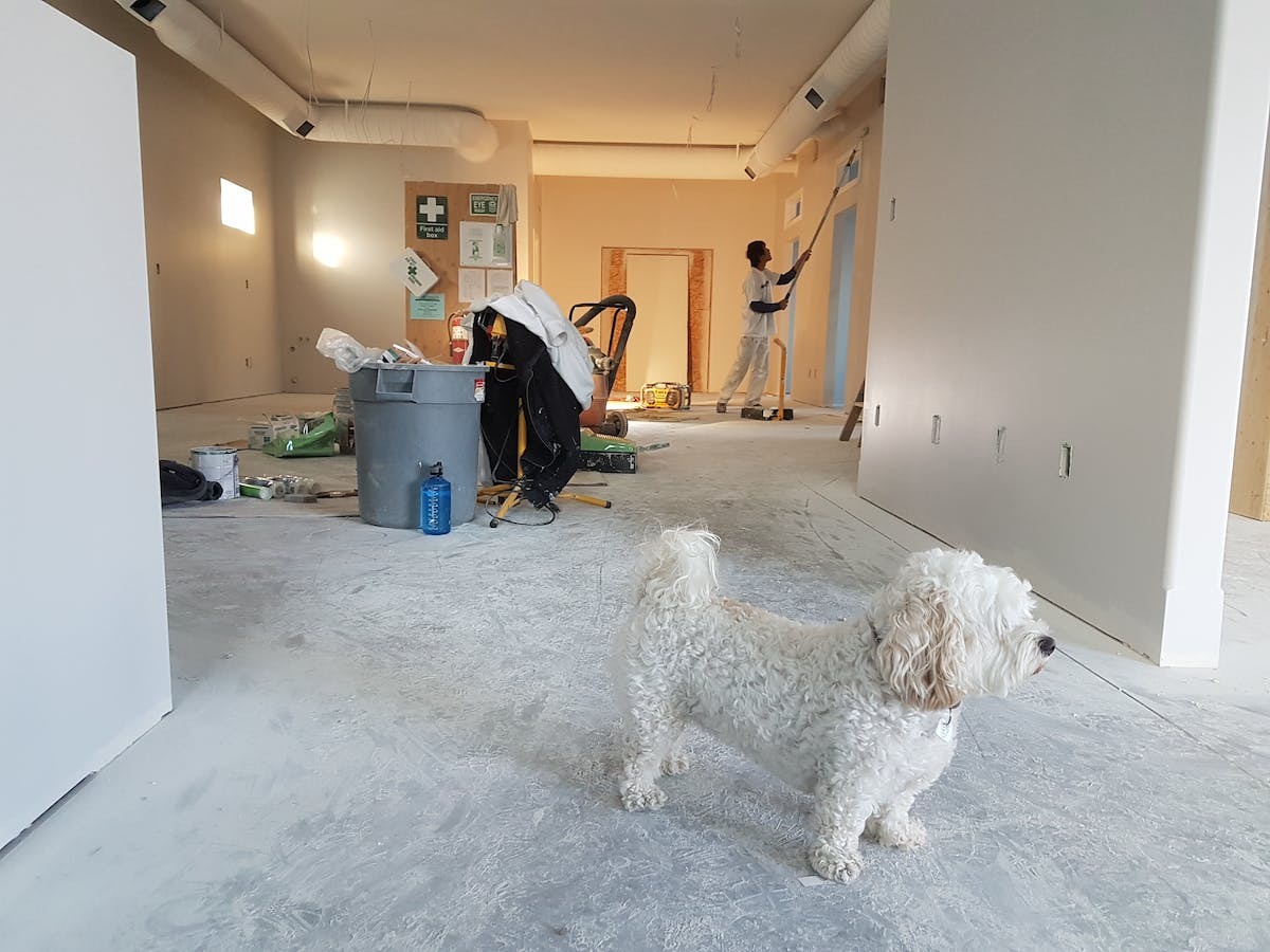 restauration immobilière