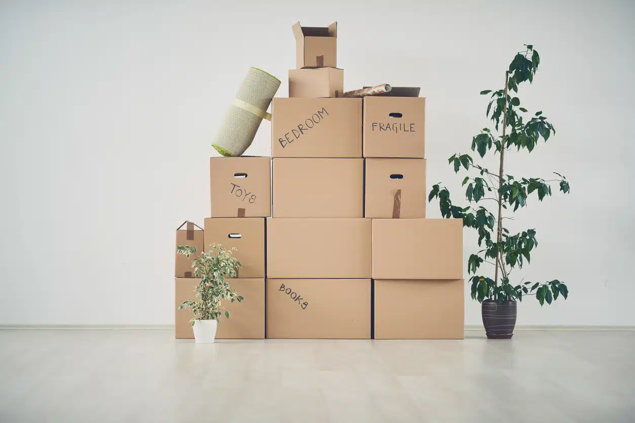 déménagement immobilier