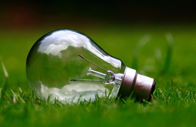 une ampoule dans l'herbe