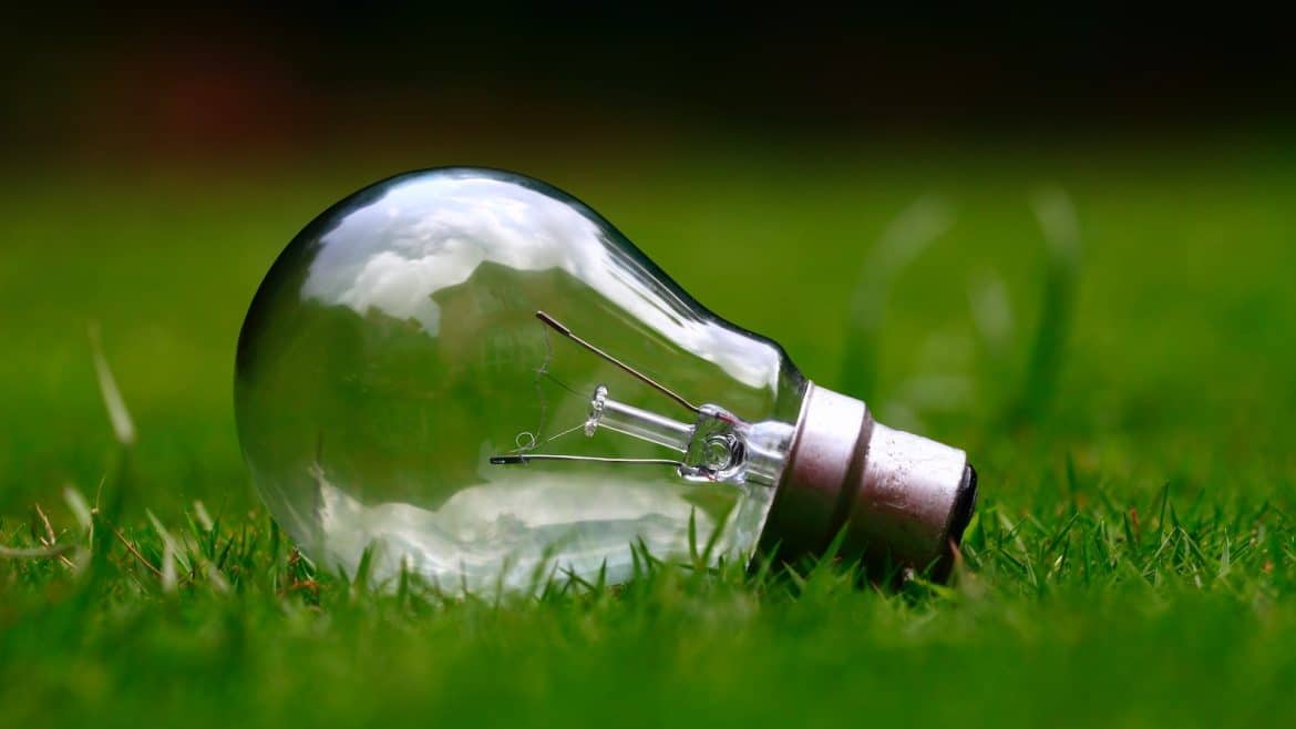 une ampoule dans l'herbe